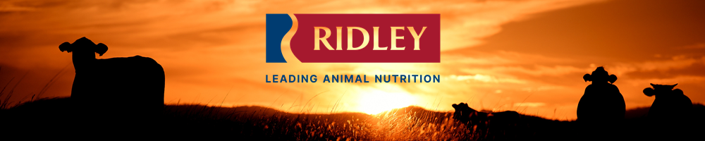 Ridley Banner